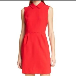 NWT. Ted baker dress in Size 2